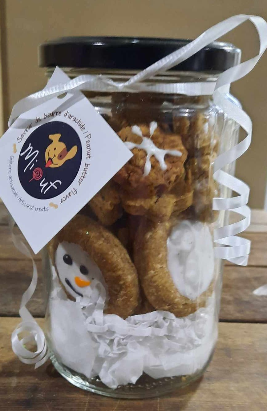 NOEL - Pot Mason pour chien