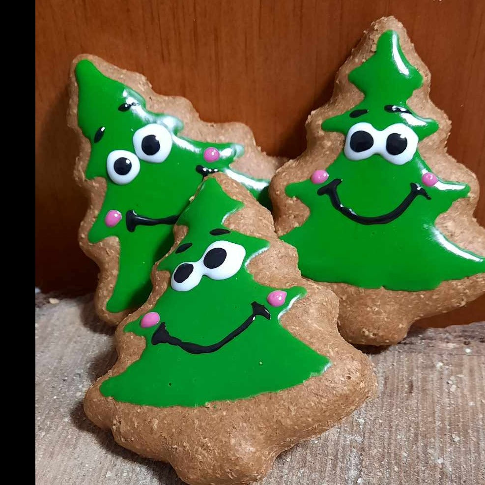 Noel - SAPIN CUTE POUR CHIENS EN BISCUITS