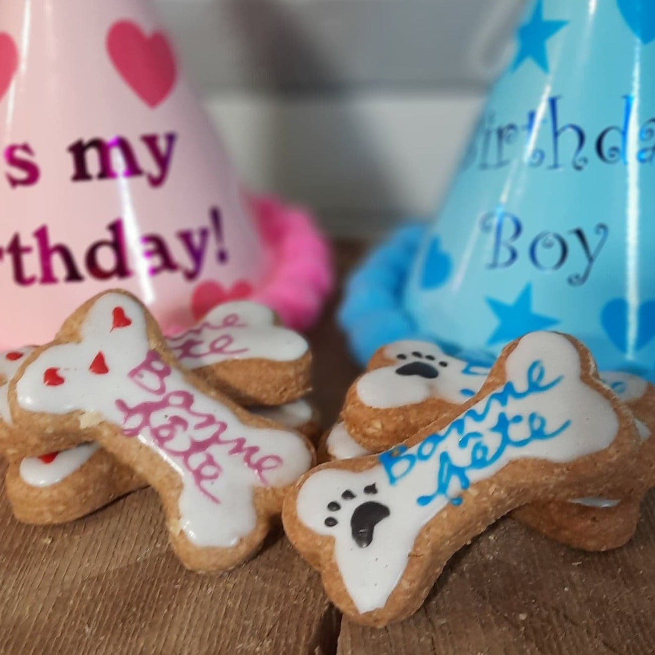 Os bonne fête pour nos tout petits et nos gros toutous