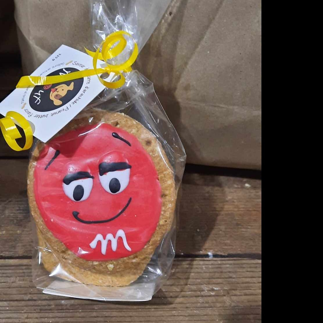 Sac cadeau spécial cinéma pour chiens!