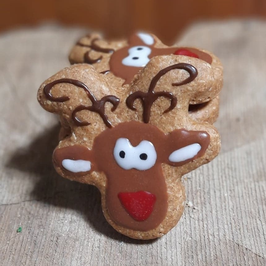 Noel - Biscuits pour chien en forme de Renne de Noel