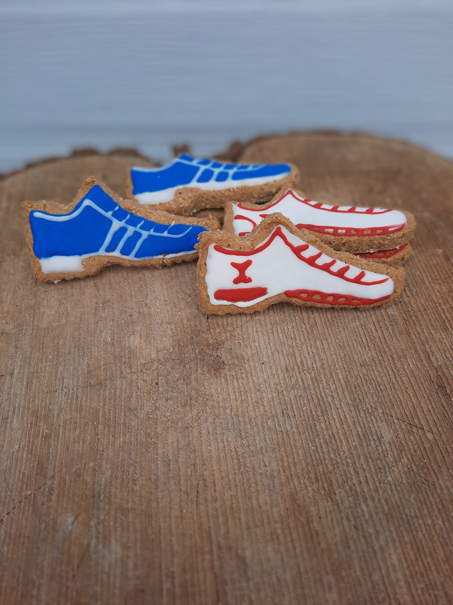 Chaussure Sport pour chiens