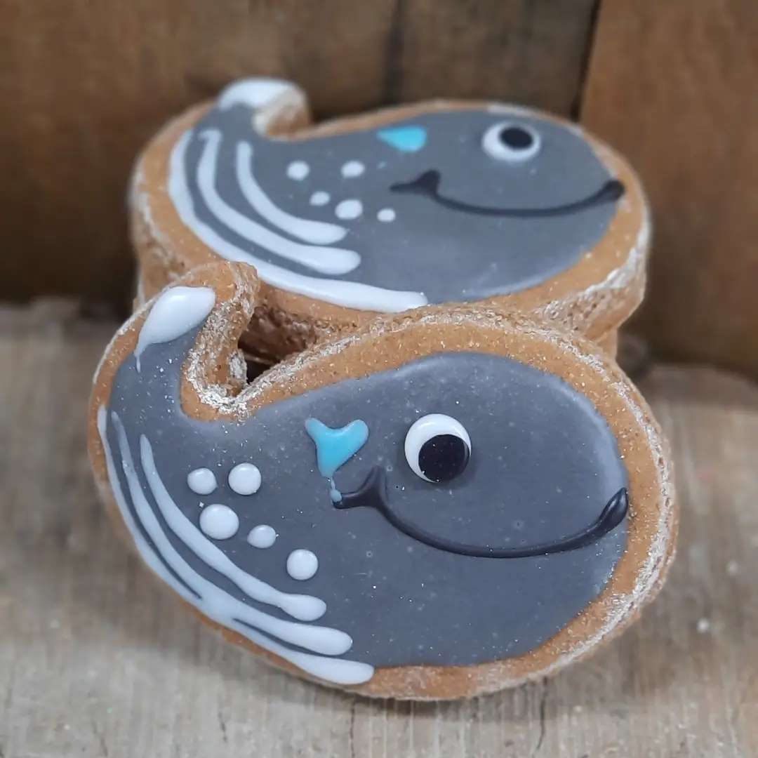 Baleine format petite