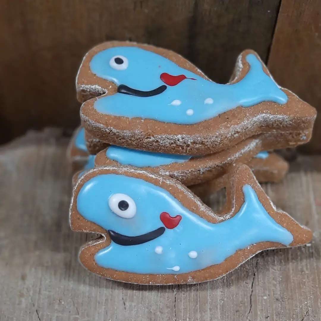 Baleine format petite