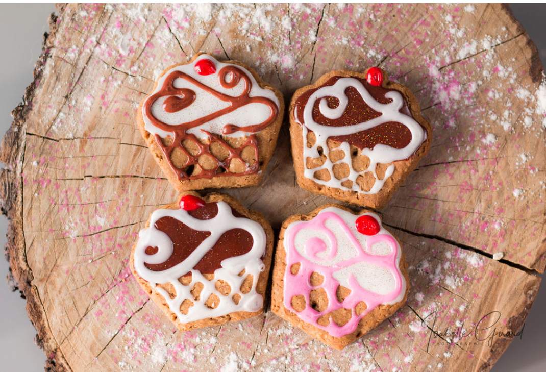 Petit gâteau pour vos chiens