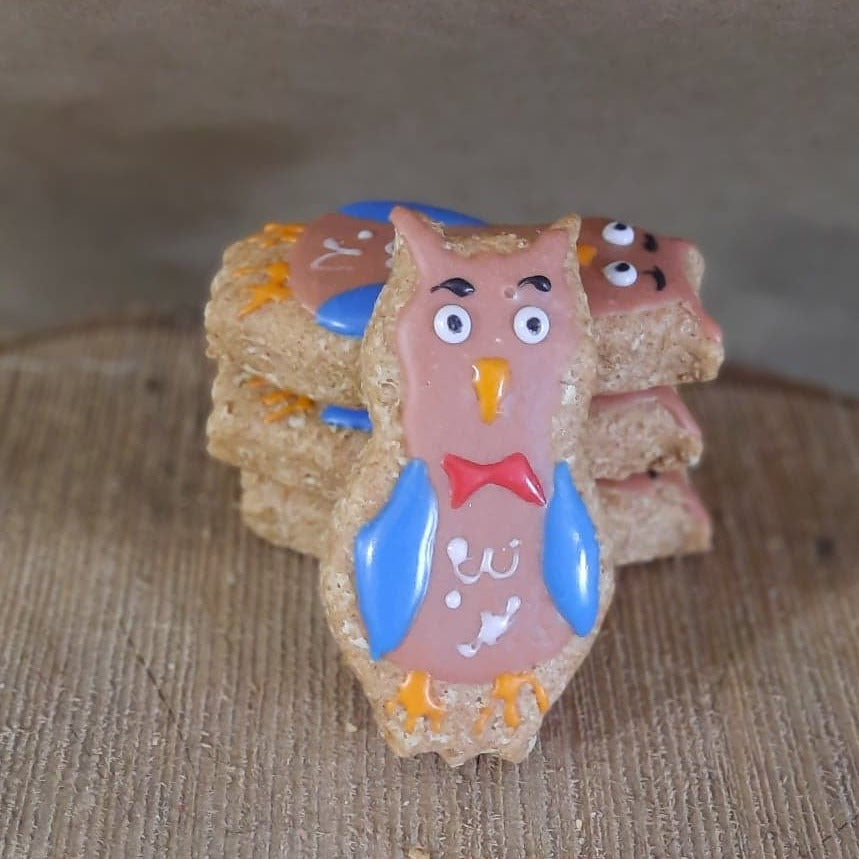 Hiboux pour toutou petits et moyens format
