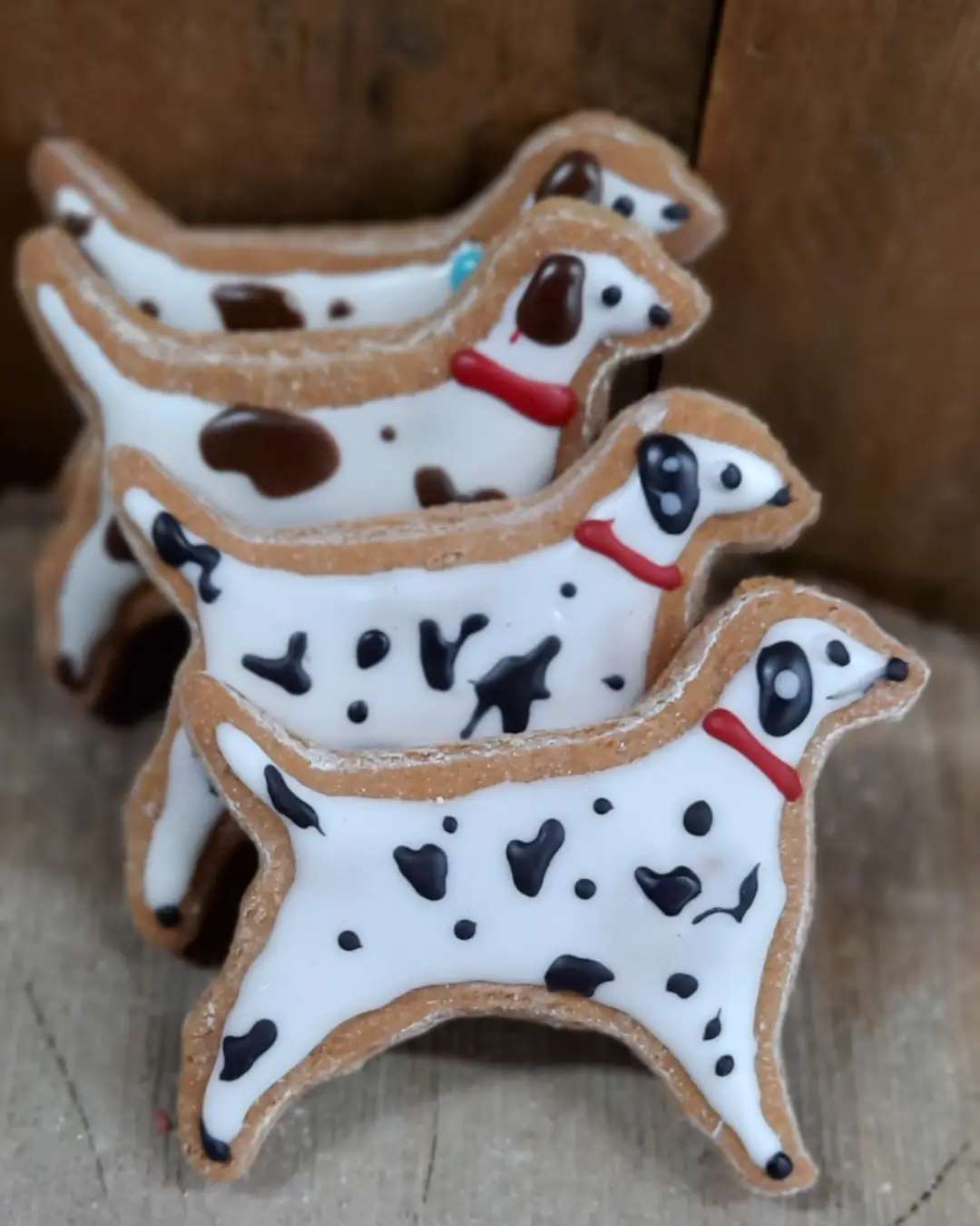 Dalmatiens petits et moyens