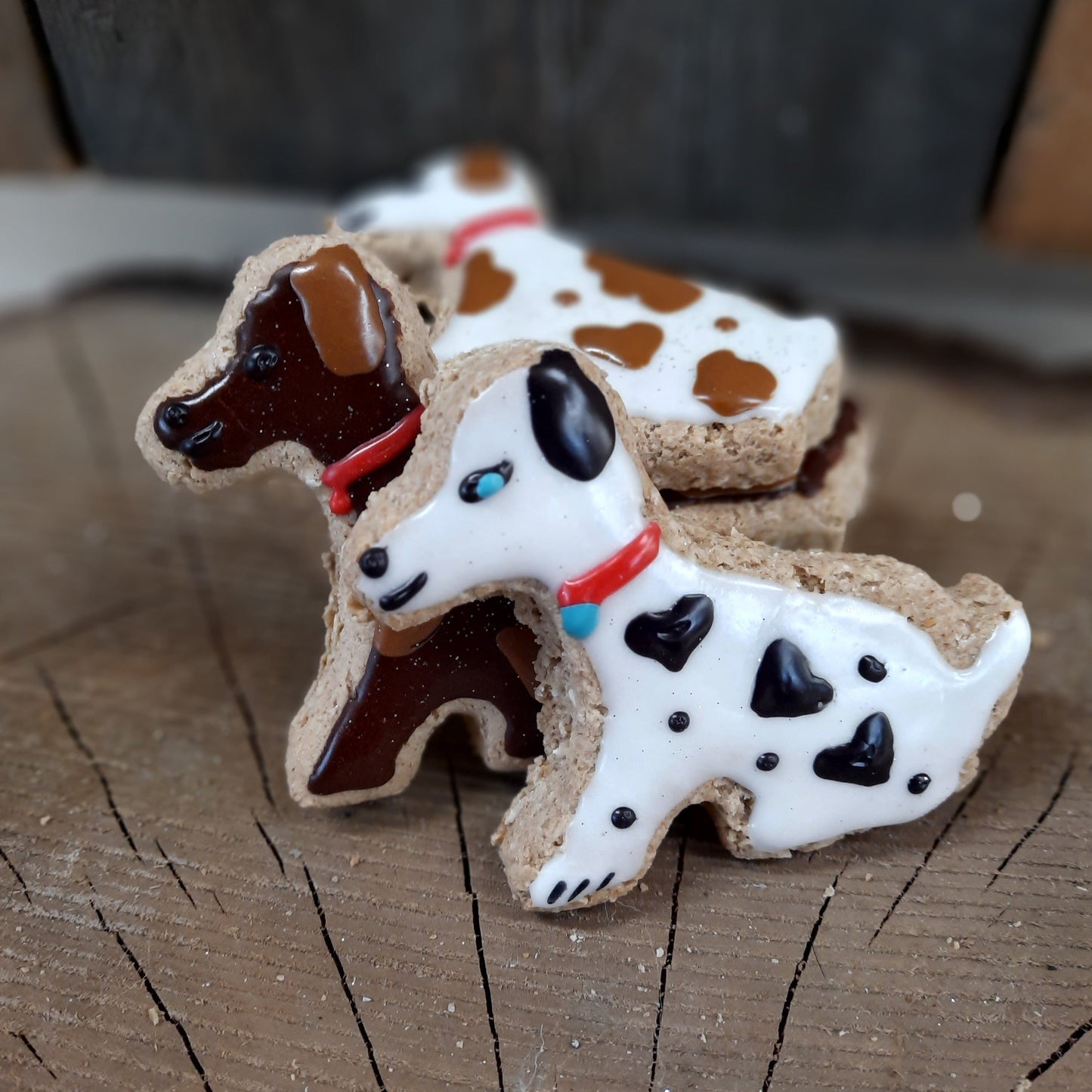 Dalmatiens petits pour vos chiens chéries - Small dalmatiens treats for dogs