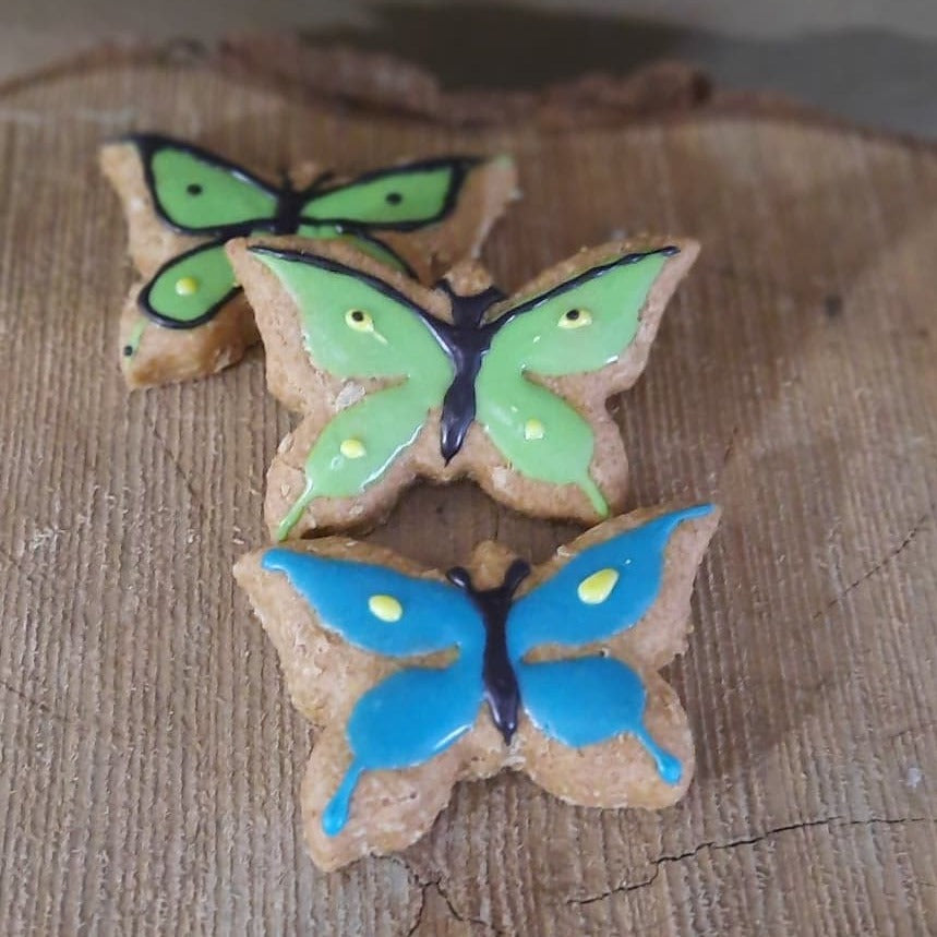 Papillons pour chiens Miouf