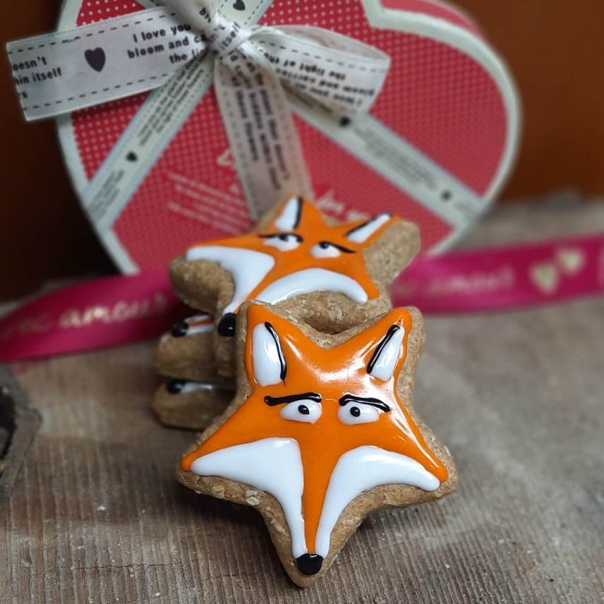 Renard biscuit pour chien