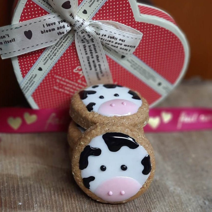 Vaches bébé biscuit pour chien