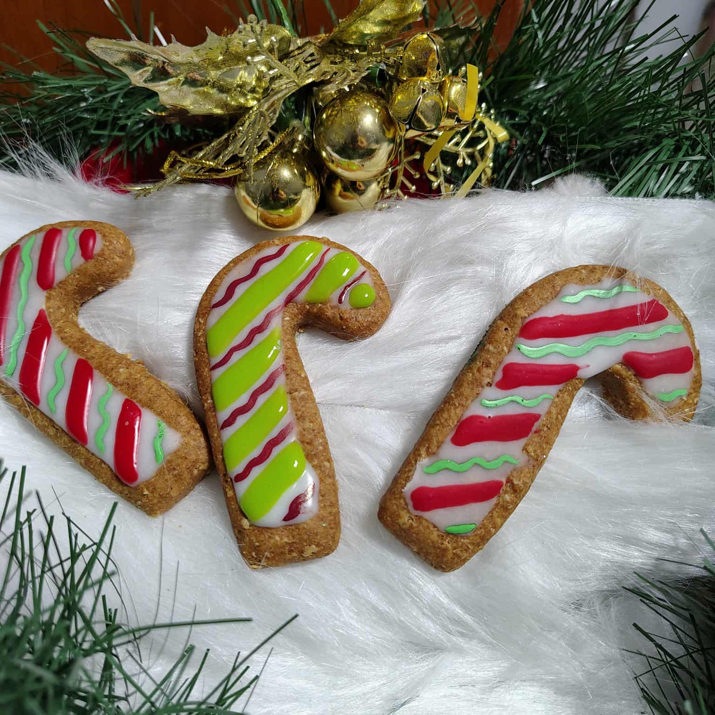 Noel - Cannes pour chiens - Christmas cookie cannes for dogs