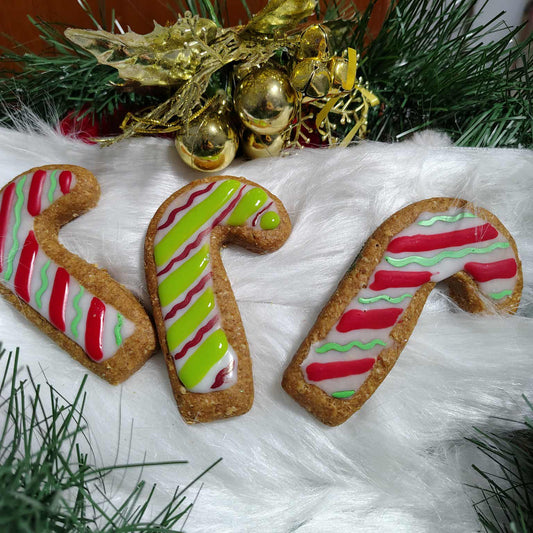 Noel - Cannes pour chiens - Christmas cookie cannes for dogs