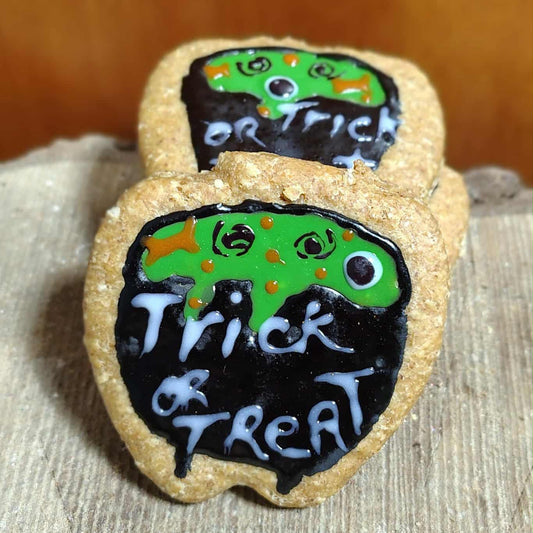 Halloween potion magique biscuits pour chiens