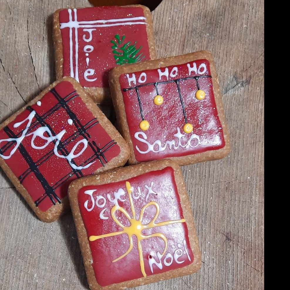 Noel - Cadeaux biscuits pour chiens