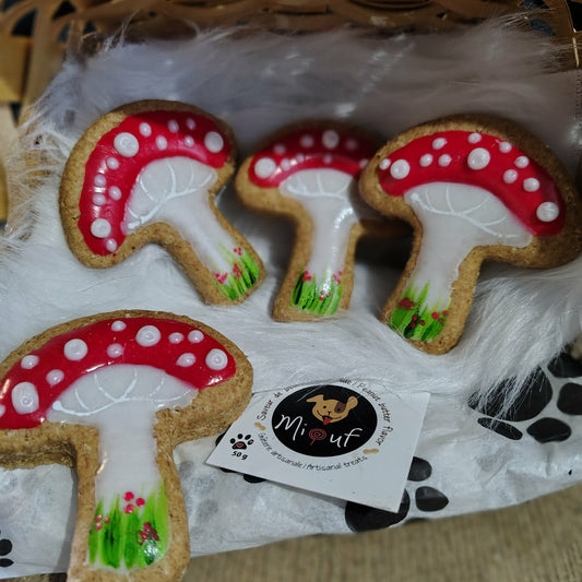 Champignons pour vos toutous - Mushrooms cookies for dogs