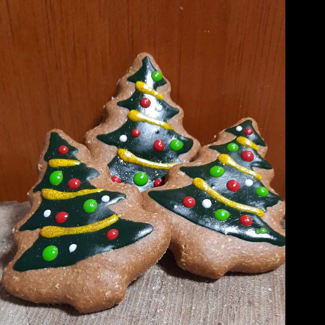 Noel - SAPIN TRADIONELLE POUR CHIENS EN BISCUITS