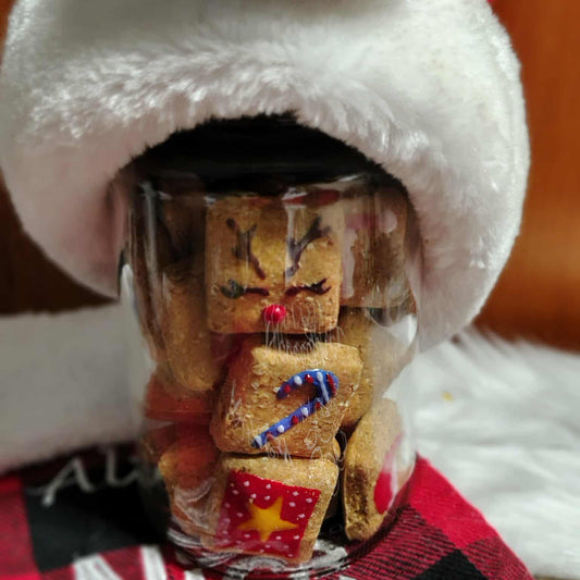 Noel - Pot Masson pour chien