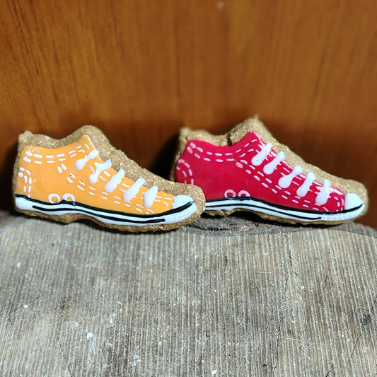 Chaussures pour chiens