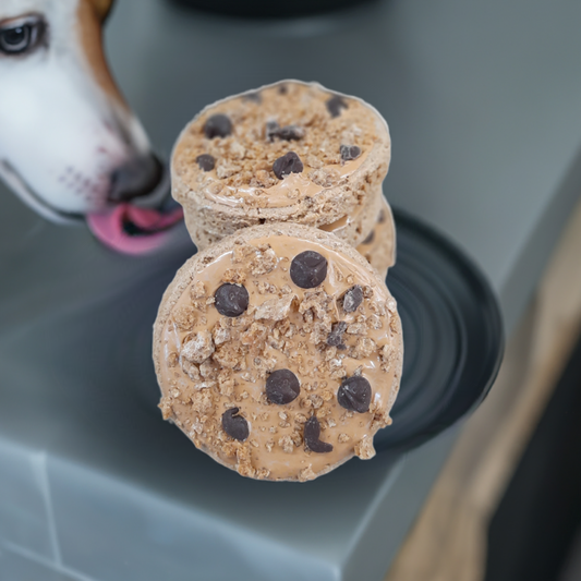 Biscuits aux brisures de chocolat pour vos chiens - Chocolate chip cookies for dogs