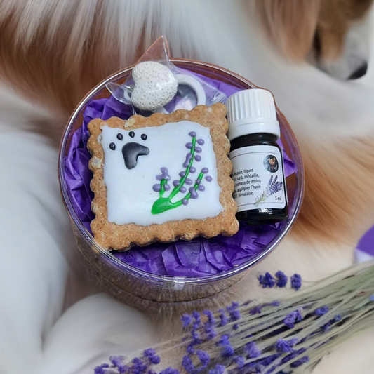 Kit Lavande pour chiens anxieux - Pour une durée limitée produit discontinué