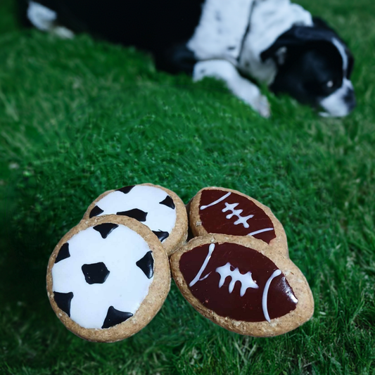 Balles et ballons pour chiens - Play ball with you're dogs!