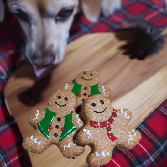 Noel - Pain épice pour chiens - Gingerbread cookies for dogs